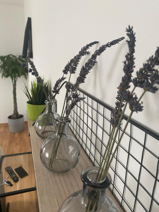 바라즈딘 Penthouse West S 아파트 외부 사진